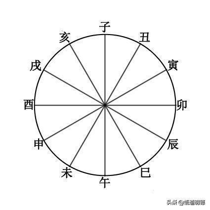 卯 五行|八字十二地支詳解——卯